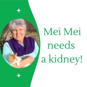 Brandon Resident Mei Mei Brown needs a new kidney- click for more information